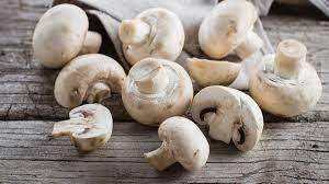 Come Cucinare i Funghi Champignon con i Prodotti Bosco Mar di Marco Petrucci 3 download